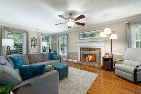 Discover the Top Low-Maintenance Houseplants to Improve Indoor Air Quality in UK Homes