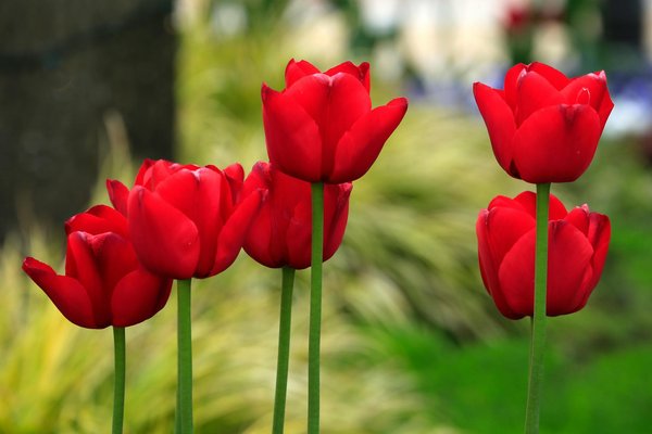 Maximize Your Move: Discover the Advantages of Off-Peak Relocations in the UK